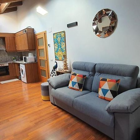 Cal Tranquil Camprodon, Acollidor Atic Al Centre Appartement Buitenkant foto