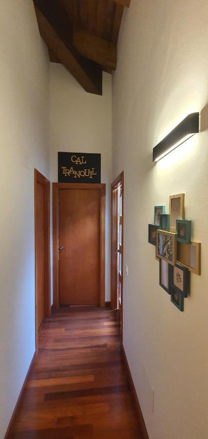 Cal Tranquil Camprodon, Acollidor Atic Al Centre Appartement Buitenkant foto