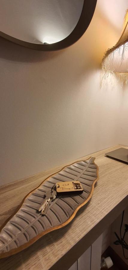 Cal Tranquil Camprodon, Acollidor Atic Al Centre Appartement Buitenkant foto