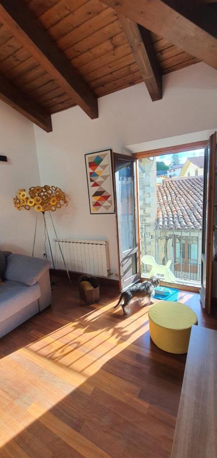 Cal Tranquil Camprodon, Acollidor Atic Al Centre Appartement Buitenkant foto