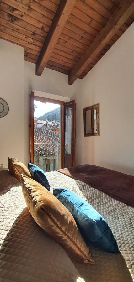 Cal Tranquil Camprodon, Acollidor Atic Al Centre Appartement Buitenkant foto