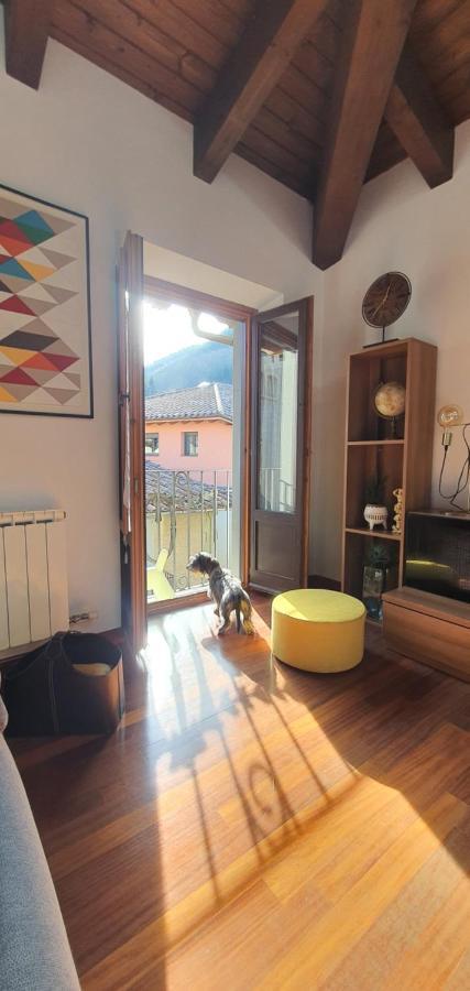 Cal Tranquil Camprodon, Acollidor Atic Al Centre Appartement Buitenkant foto