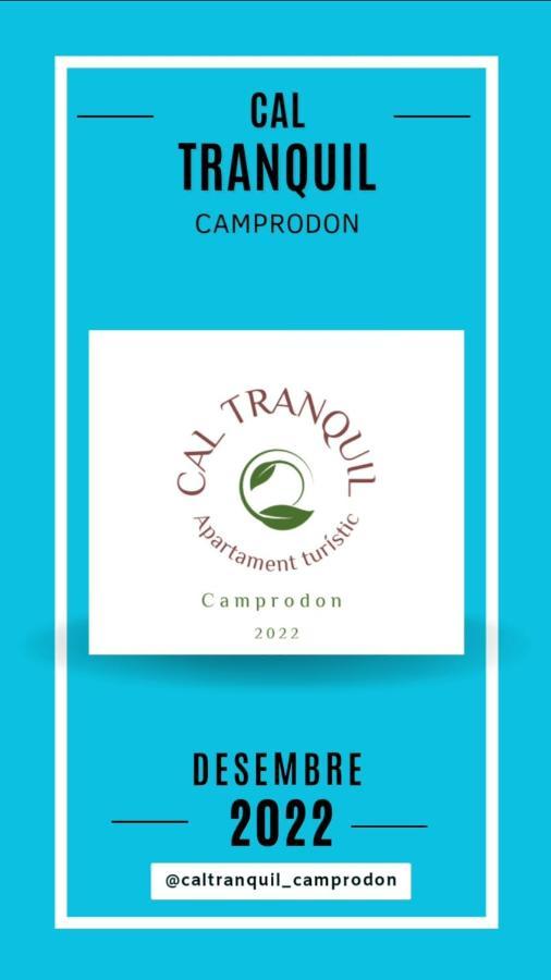 Cal Tranquil Camprodon, Acollidor Atic Al Centre Appartement Buitenkant foto